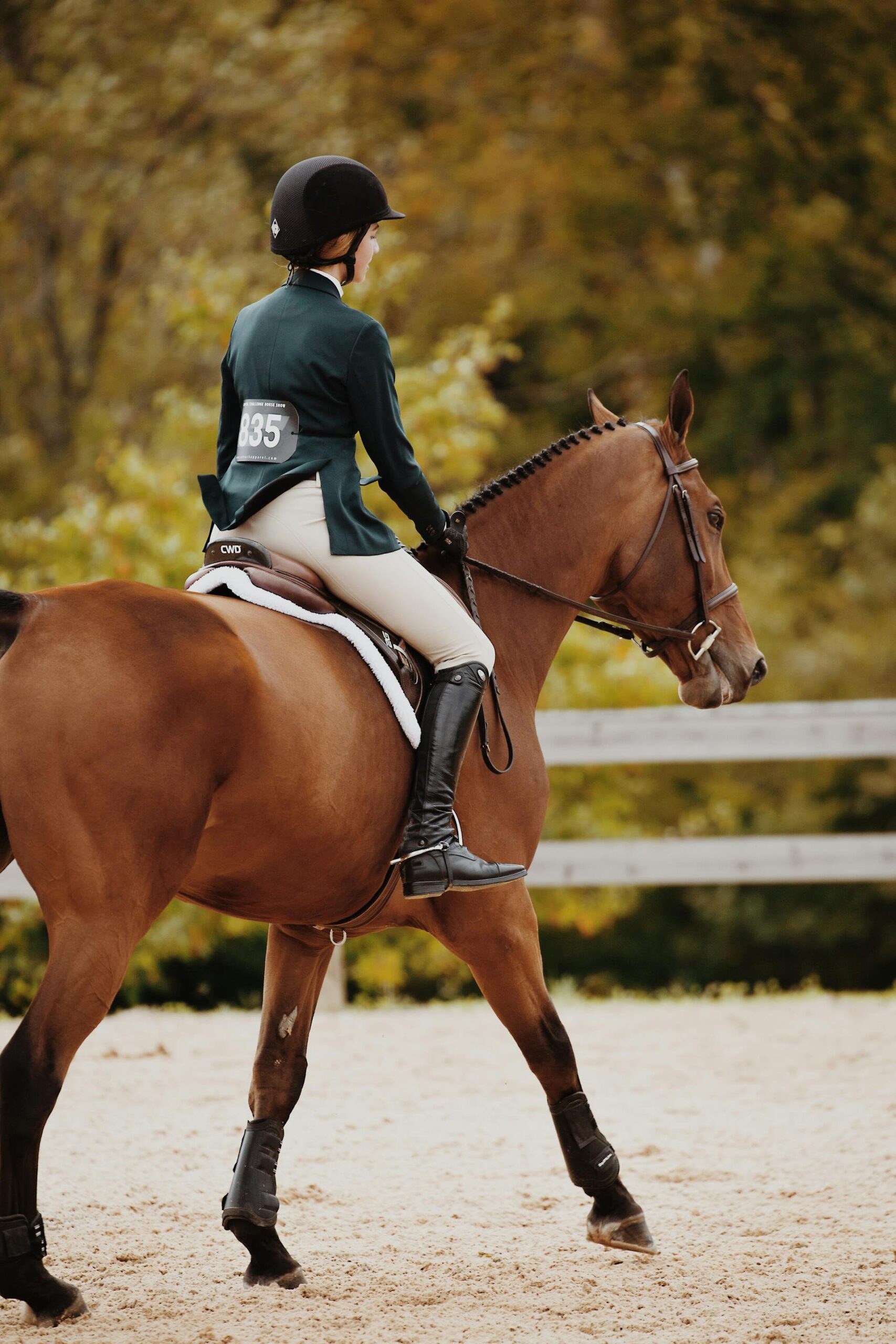 Dressage